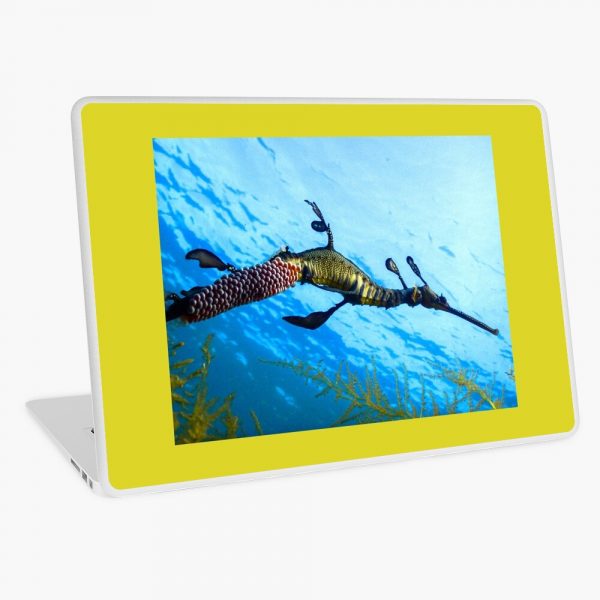 Laptop PC Surface MacBook Skin Protector Weedy Seadragon Print